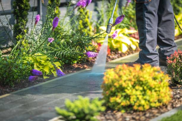 Best Parking Lot and Garage Cleaning  in Kilmarnock, VA